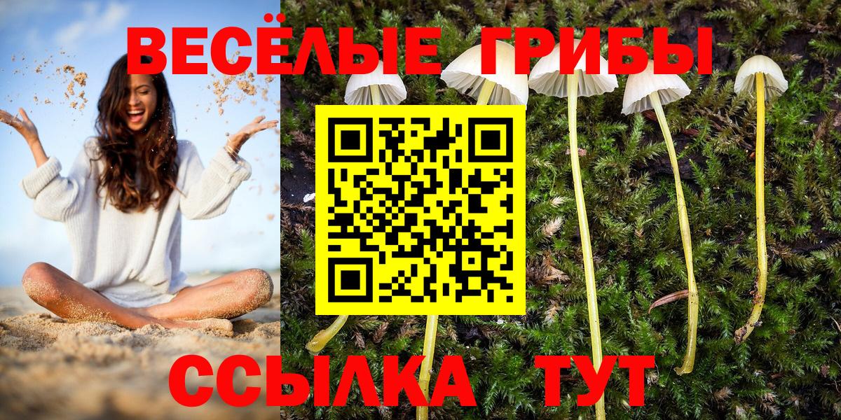 Ангарск  Псилоцибиновые грибы MAGIC MUSHROOMS  Вход с VPN 