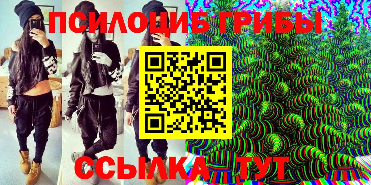 Галлюциногенные грибы Psilocybine cubensis Ангарск